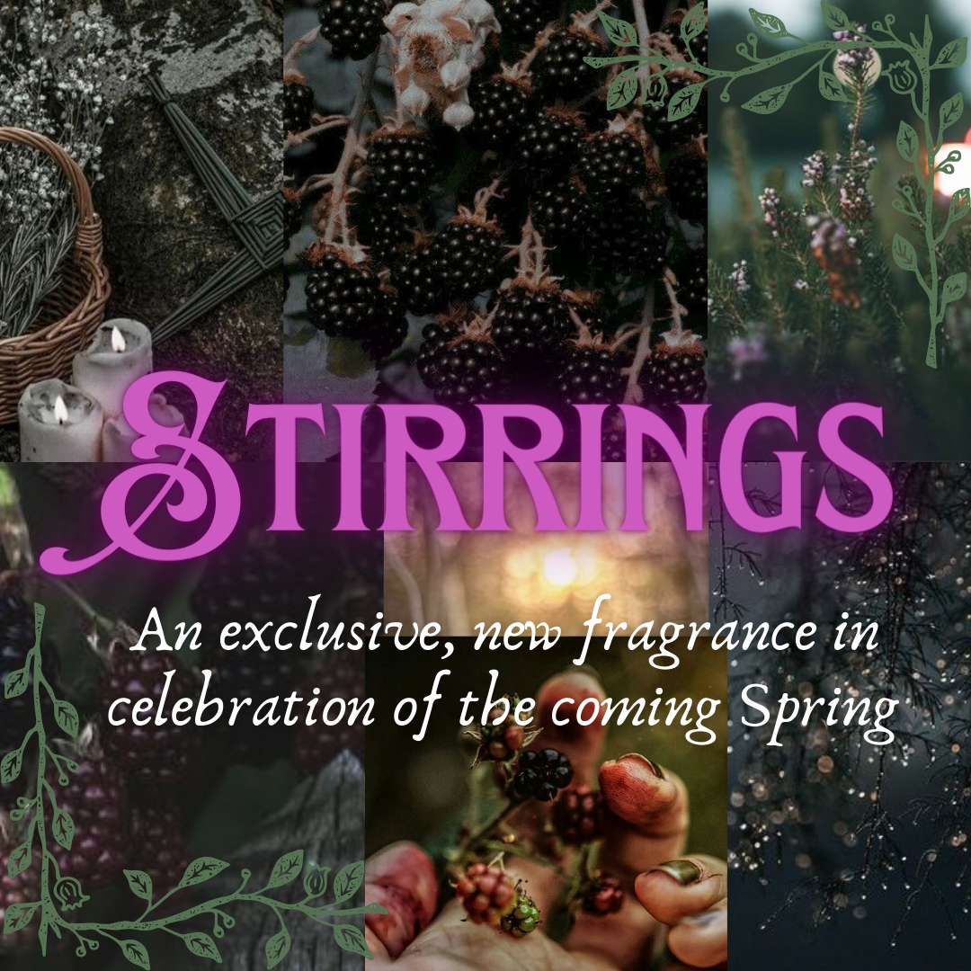 Stirrings: Midnight Blackberry, Praline, Frankincense and Myrrh Scented Candle